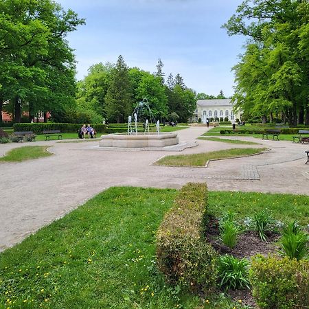 Villa Klara Cieplice Jelenia Gora Exterior photo